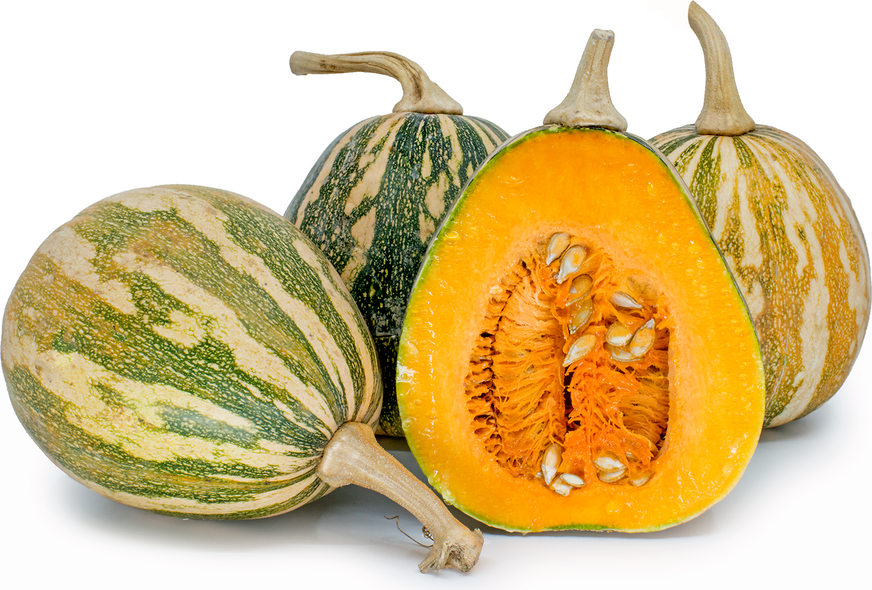 Fairy Squash picture