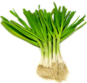 Green Garlic picture