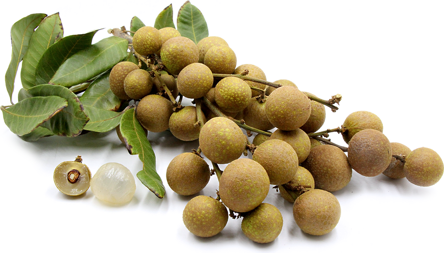 Longan picture