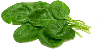 Giant Noble Spinach picture