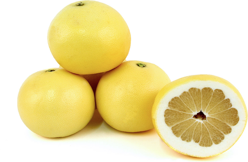 Oro Blanco Grapefruit picture