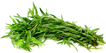 Tarragon picture