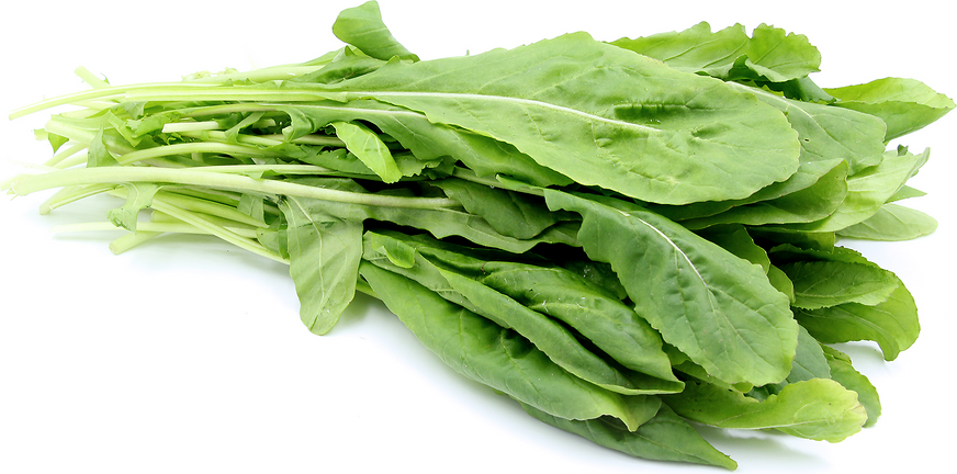 Arugula picture