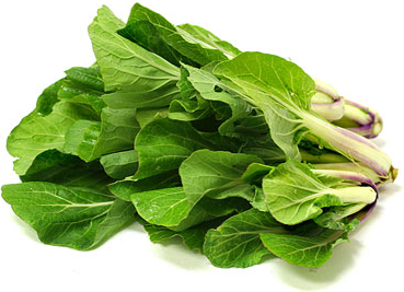 Pac Choi picture