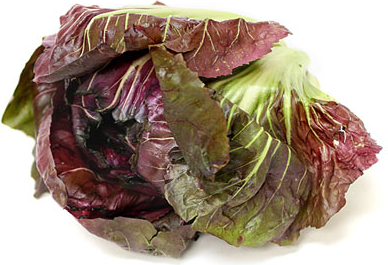 Radicchio picture