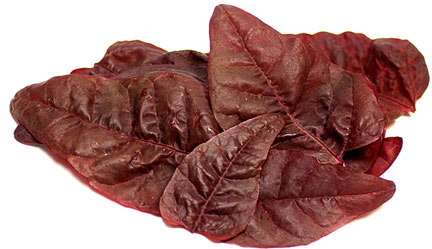 Red Orach Spinach picture