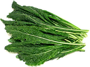 Lacinato (Black) Kale picture