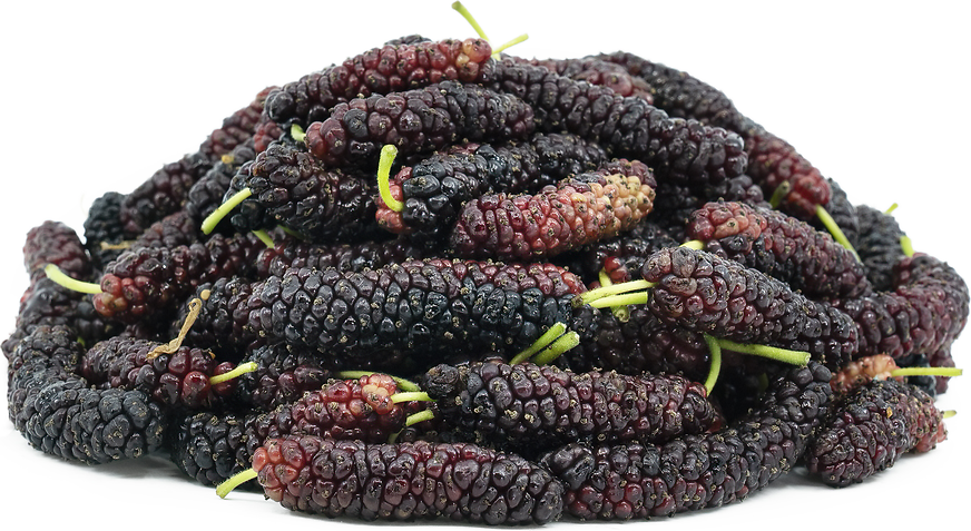 Pakistan Mulberries picture