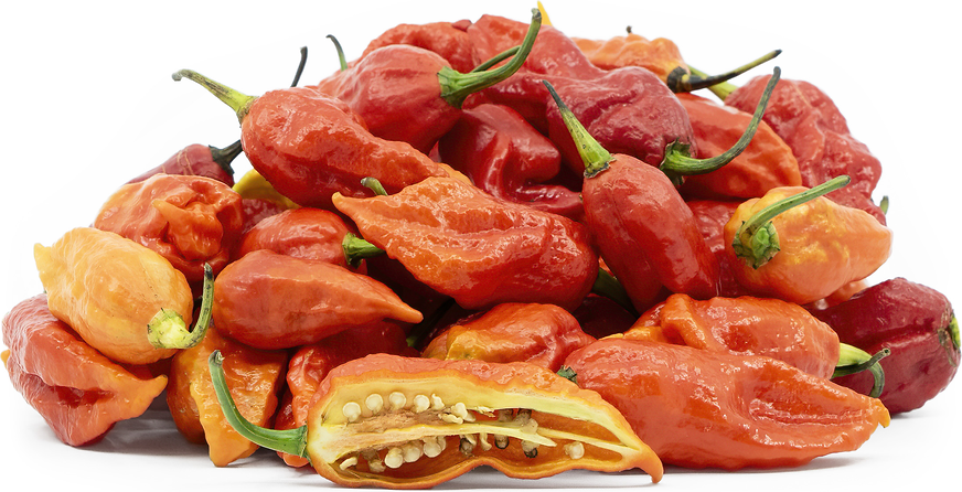 Red Ghost Chile Peppers picture