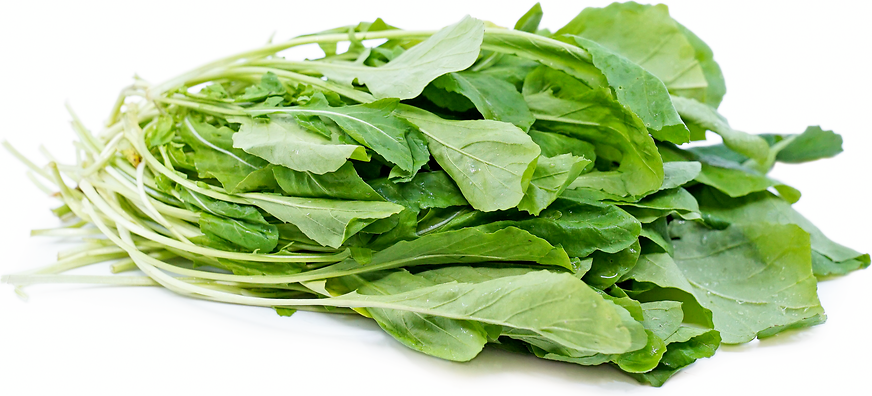 Arugula picture