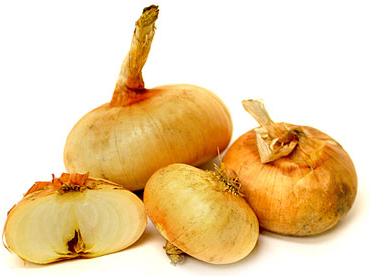 Bermuda Onion picture