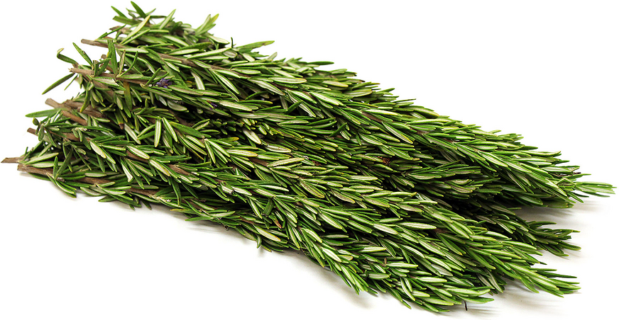 Rosemary picture