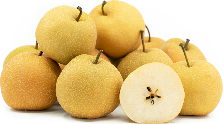Hosui Asian Pears picture
