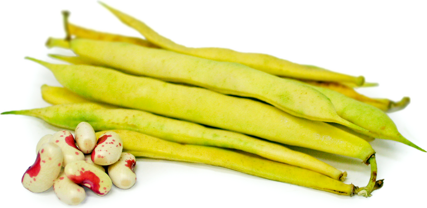 Jacob's Cattle Shelling Beans picture