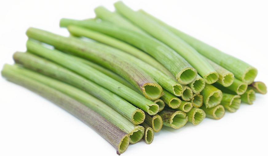 Green Nature Straws™ picture