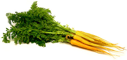 Yellow Baby Bunch Carrots picture