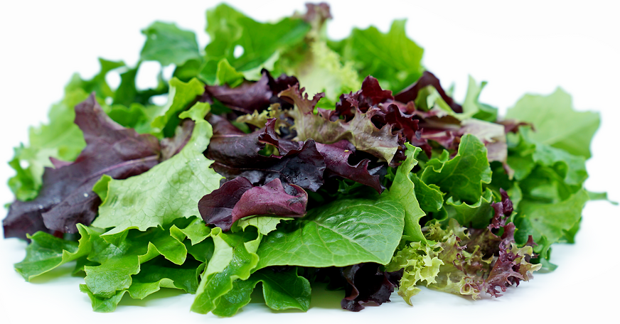 Spring Mix Lettuce picture