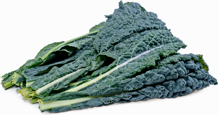 Dino Kale picture