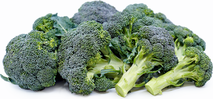 Broccoli picture