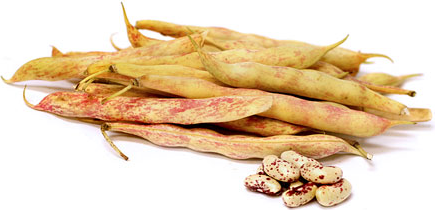 Money Shelling Beans picture