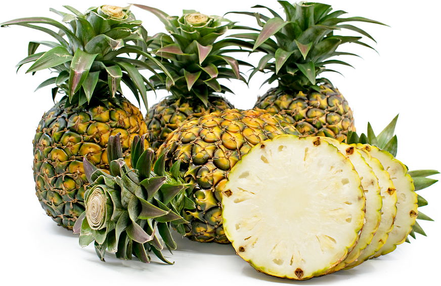 Sugarloaf Pineapples picture
