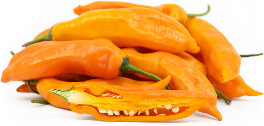 Aji Amarillo Chile Pepper picture