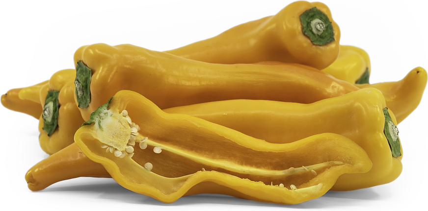 Toro de Oro Chile Peppers picture