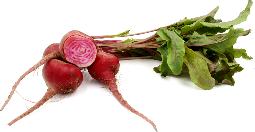 Baby Chioggia Beets picture