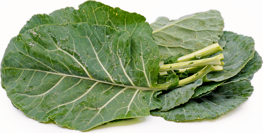 Collard Greens picture