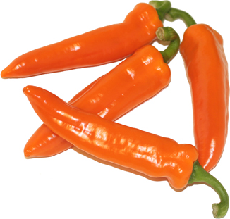 Tequila Sunrise Chile Peppers picture