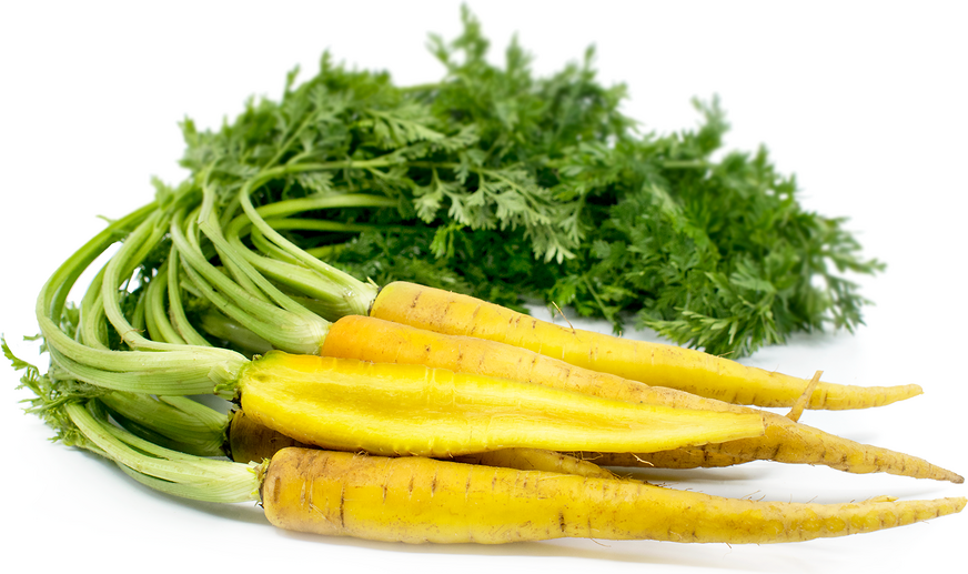 Baby Yellow Bunched Carrots picture
