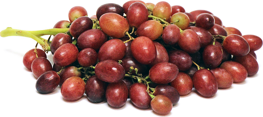 Autumn King Grapes picture