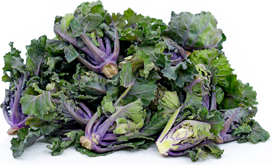 Kale Sprouts Kalettes picture