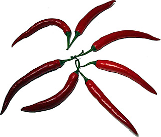 Red Finger Hot Chile Pepper picture