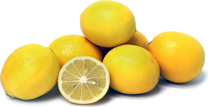 Meyer Lemons picture