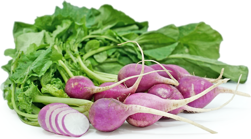 Purple Plum Radish picture