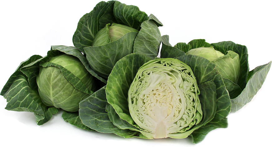 Green Cabbage picture