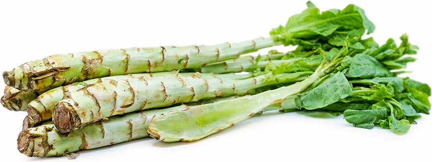 Asparagus Lettuce picture