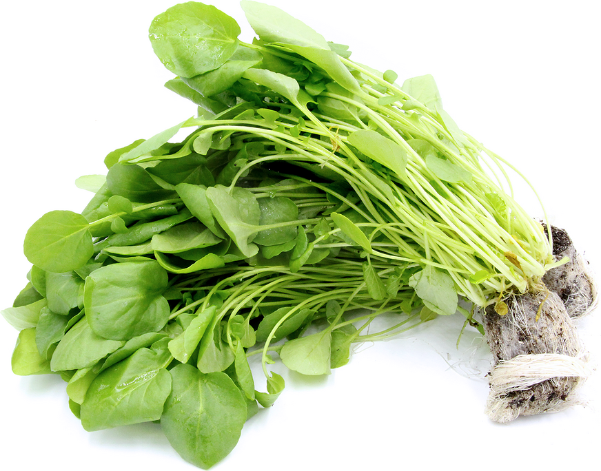 Organic Hydro Watercress (Go Green) picture