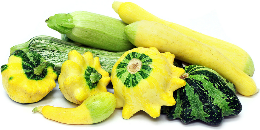 Mixed Summer Squash picture