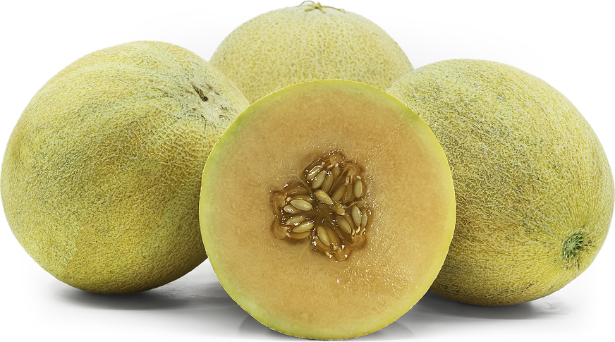 Ambrosia Melon picture