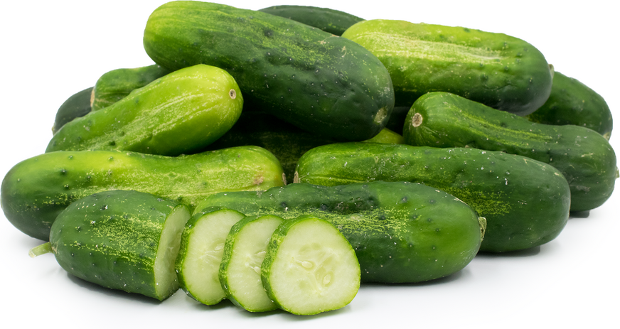 Pickling Cucumbers picture