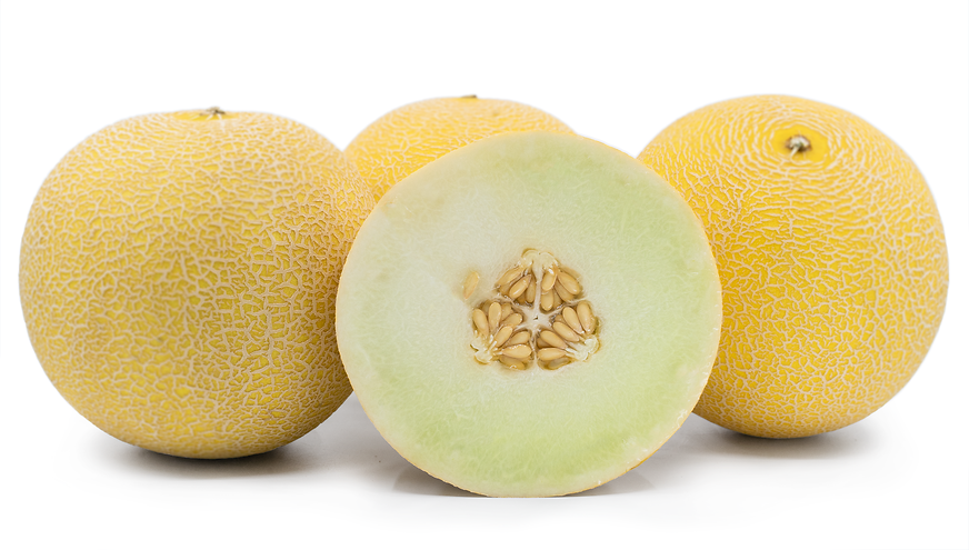 Galia Melon picture