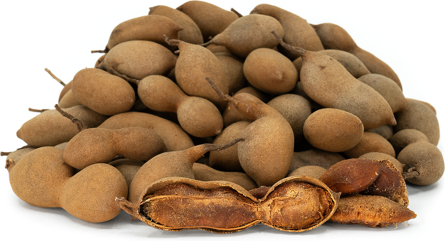 Tamarind picture