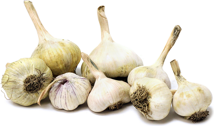 Mixed Heirloom Garlic picture