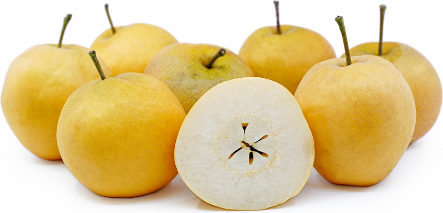 Quality porn - When is an asian pear ripe Luxury virgin gorda villas