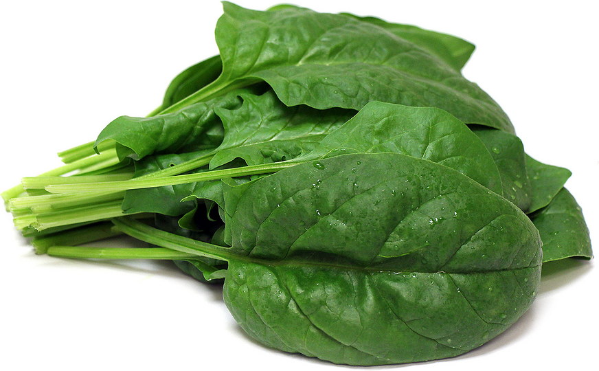 Hydro Bloomsdale Spinach picture