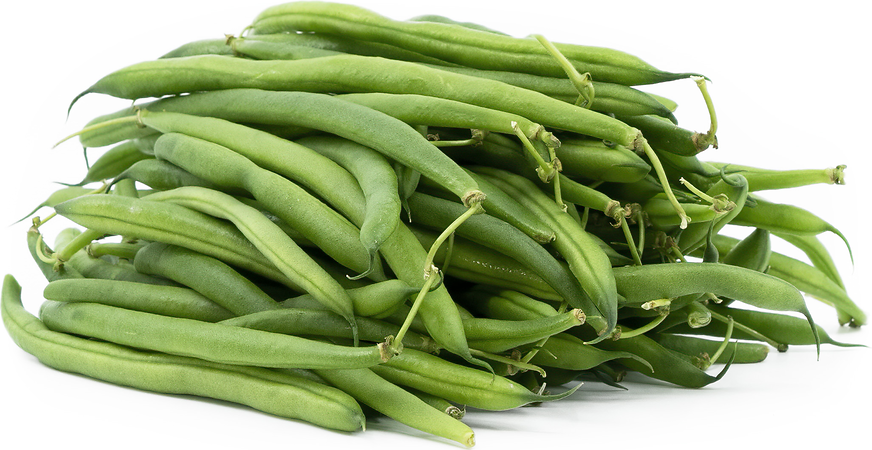 Blue Lake Beans picture