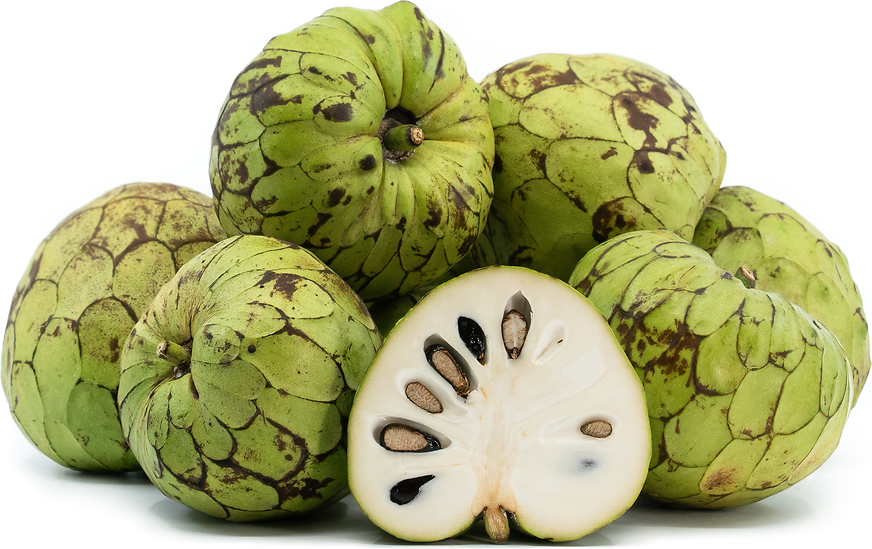 Cherimoya picture