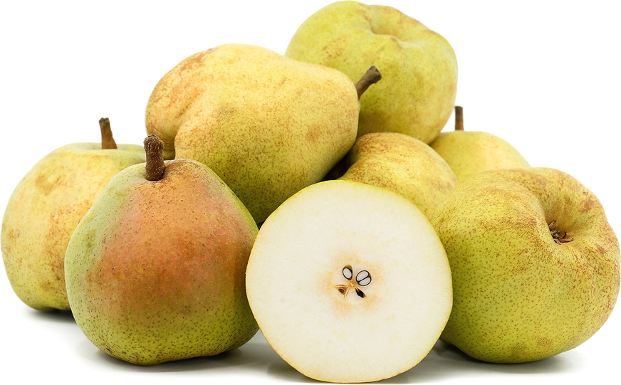 Comice Pears Information and Facts